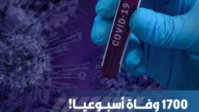 Screenshot ٢٠٢٤٠٧١٩ ٠٧٠٨١٥ WhatsApp
