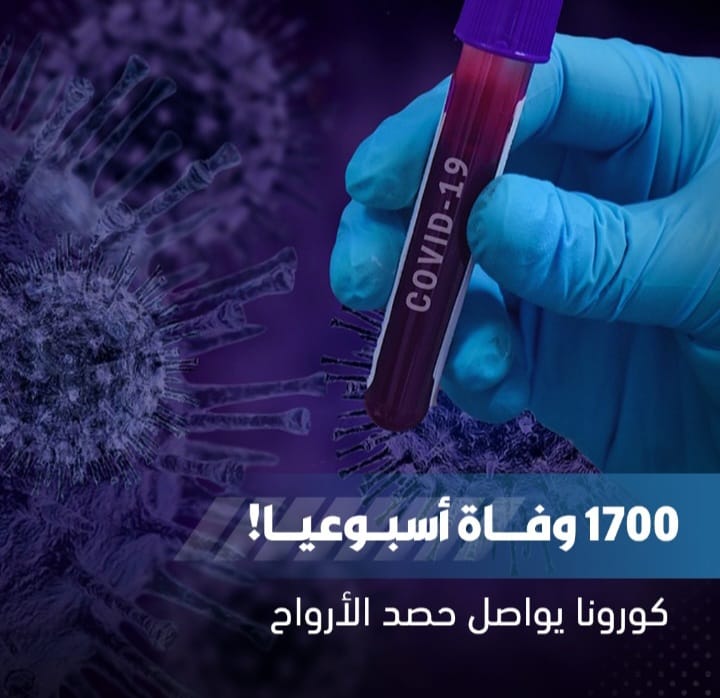 Screenshot ٢٠٢٤٠٧١٩ ٠٧٠٨١٥ WhatsApp