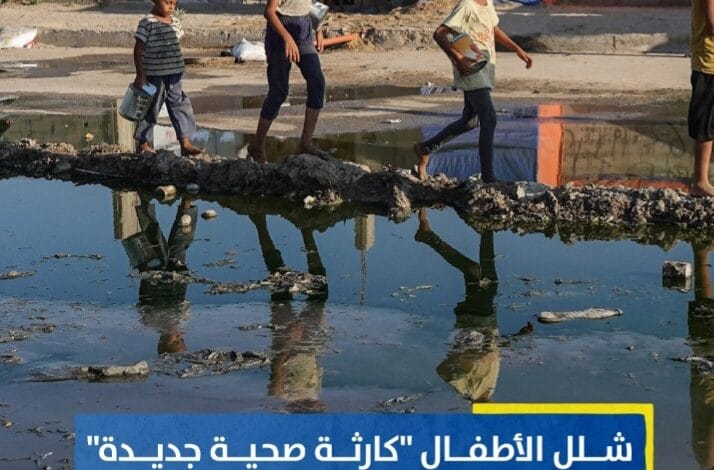 اهالي غزة في مواجهة شلل الاطفالاهالي غزة في مواجهة شلل الاطفال 1 Screenshot ٢٠٢٤٠٧٢٣ ٠٠٤٨٤١ WhatsApp
