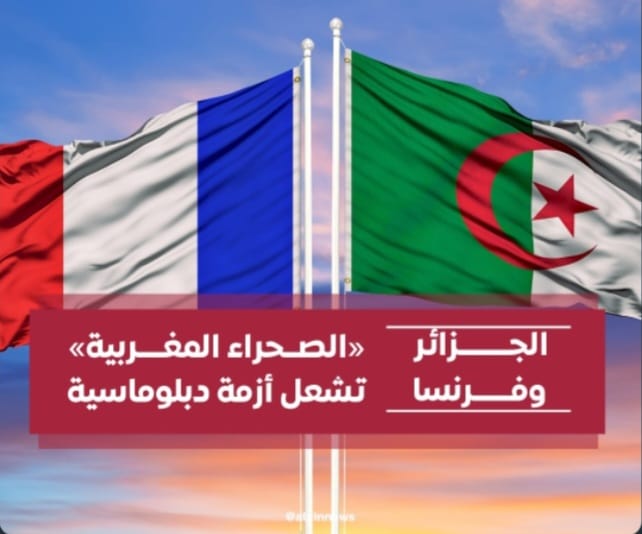 Screenshot ٢٠٢٤٠٧٣١ ٠٣٠٩٥٤ WhatsApp