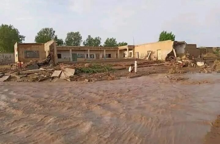 عاجل: الوحدة التنفيذية في الحديدة يوجه نداء استغاثة المتضررين من سيول الأمطار .. (حصري) 1 IMG 20240807 WA0062