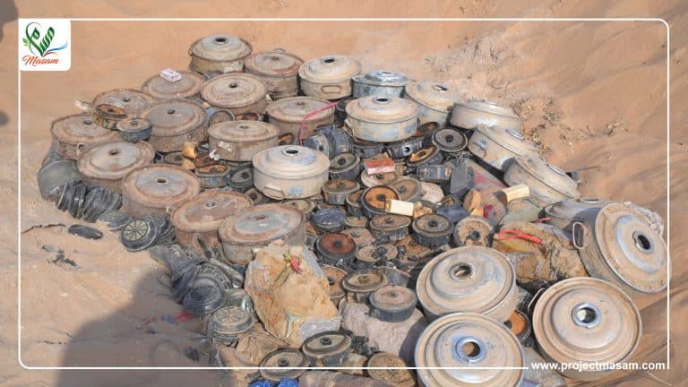 مسام يتلف 580 لغمًا وقذيفة في شبوة، غالبيتهم ألغام فردية محرمة دوليًا 1 IMG 20240816 WA0078