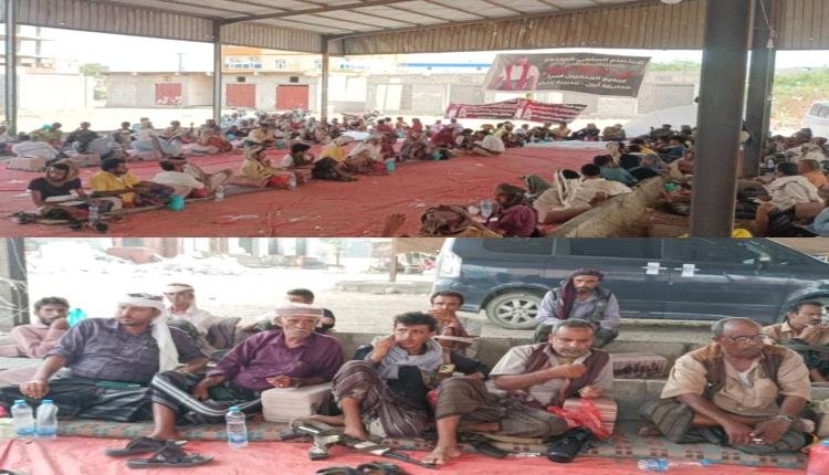 شيوخ من قبيلة الجعادنة يصلون إلى زنجبار لاستقبال وفود القبائل للمشاركة في مخيم الاعتصام السلمي المفتوح للكشف عن مصير المختطف عشال 1 IMG 20240830 214428 867