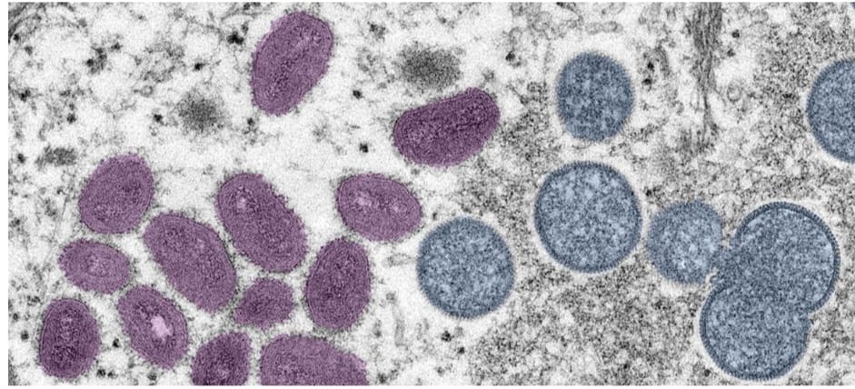 IMG ٢٠٢٤٠٨١٦ ١٠٥٤٥٤