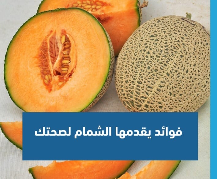 Screenshot ٢٠٢٤٠٨٠٣ ٠٤٠١٠٦ WhatsApp