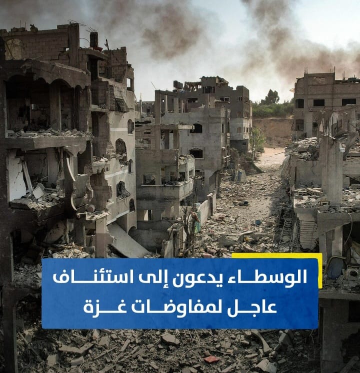 Screenshot ٢٠٢٤٠٨٠٩ ٠٢١٤٥٩ WhatsApp