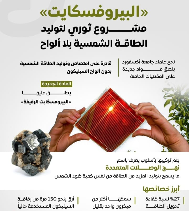 Screenshot ٢٠٢٤٠٨١٣ ٠٢٥٨٤١ WhatsApp