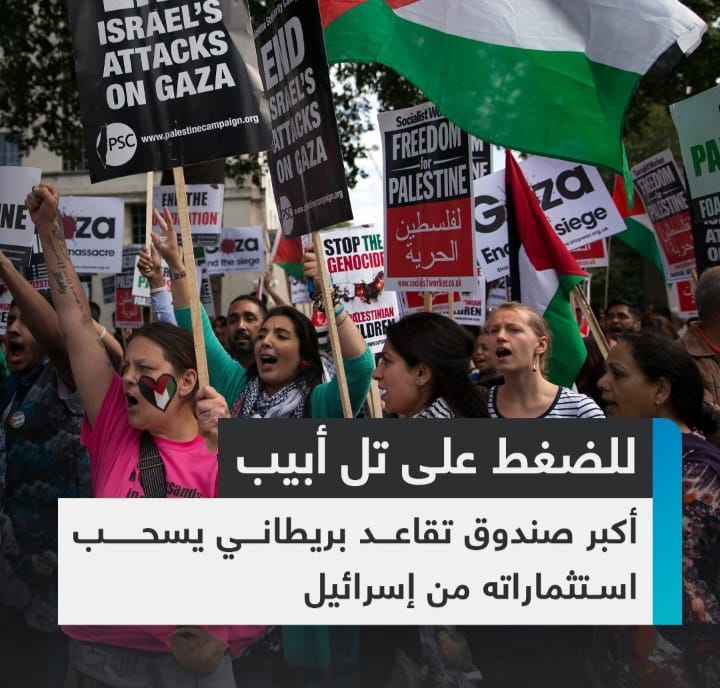 Screenshot ٢٠٢٤٠٨١٣ ٠٤١٠٤٧ WhatsApp