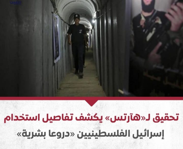 Screenshot ٢٠٢٤٠٨١٤ ٠١٠٢٢٧ WhatsApp