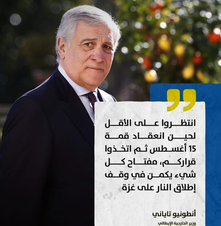 Screenshot ٢٠٢٤٠٨١٥ ٠٣٠٣٠٧ WhatsApp