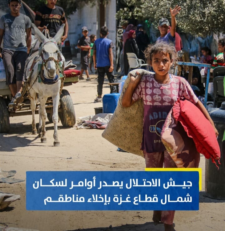 Screenshot ٢٠٢٤٠٨٢٤ ٠٠٣٠٣٧ WhatsApp