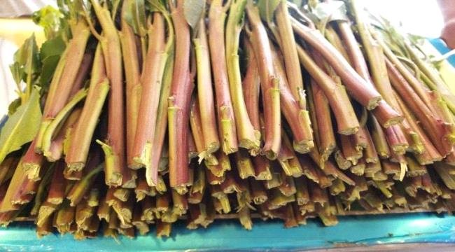دورية برية سعودية تطيح بـ 5 مخالفين لتهريبهم 75 كجم قات 1 b6890ea2 48c6 47c2 801e e89c7cec9438