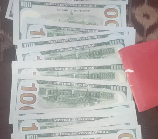 ضبط متهم بسرقة مبلغ 12 ألف دولار من أحد السيارات وآخر بمحاولته سرقة أحد البيوت بتريم 1 IMG 20240908 WA0018