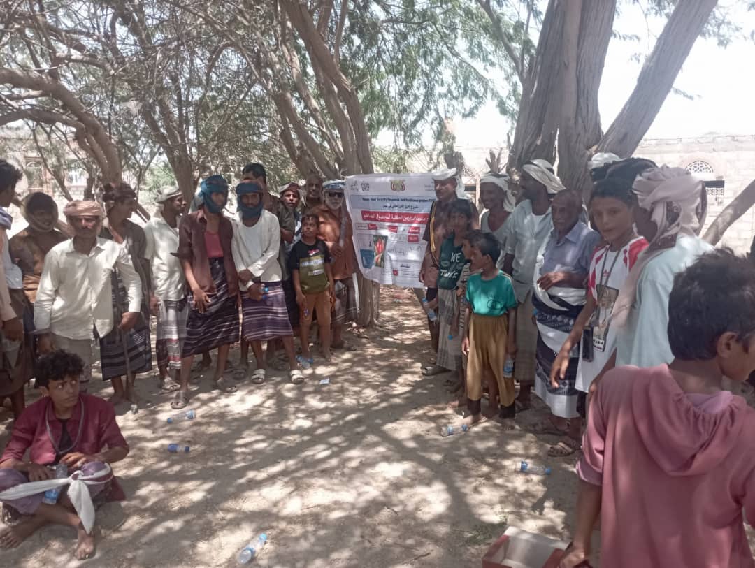 مدير مكتب الزراعة بأحور يختتم حفل مدارس المزارعين الحقلية لمحاصيل الخضار (الطماطم) 1 IMG 20240915 WA0056