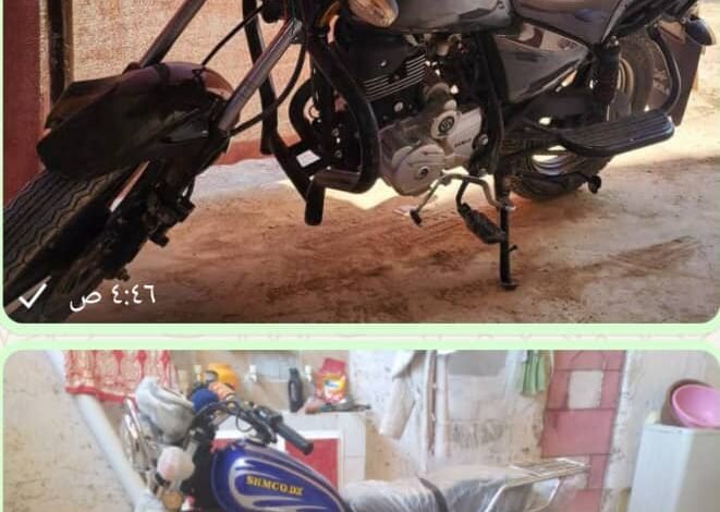 شرطة تريم تضبط متهمان بسرقة دراجات نارية 1 IMG 20240916 WA0007