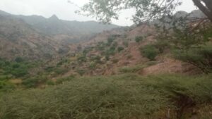 IMG 20240930 WA0319