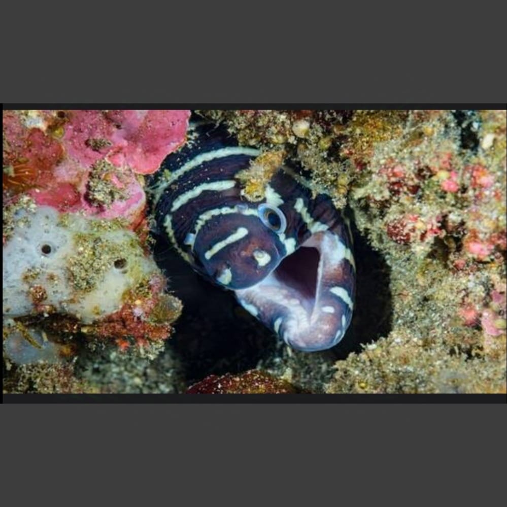 IMG ٢٠٢٤٠٩٠٦ ٠٤٥٥٠٣