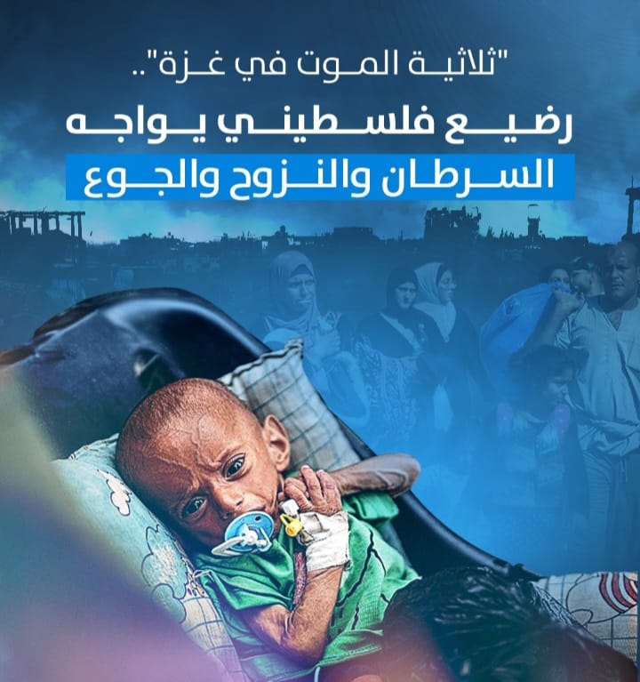 Screenshot ٢٠٢٤٠٩١٦ ٠١٤٣٤٩ WhatsApp