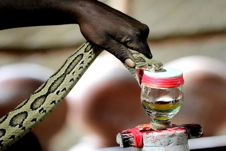 33d16039 f2d9 49c4 9793 9ef7c92440ba