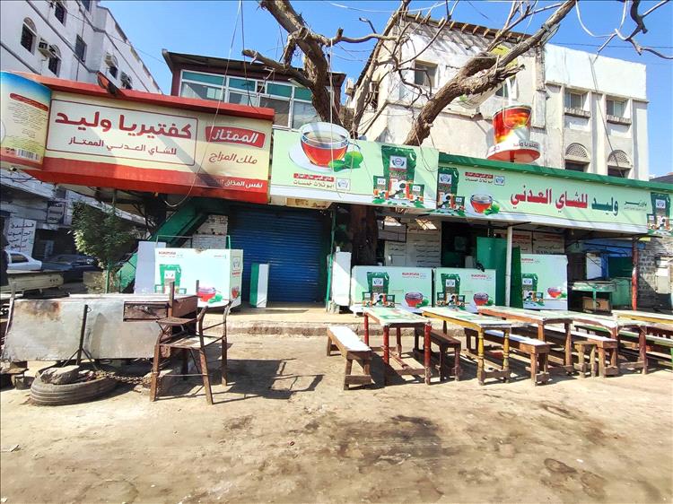 صورة وتعليق : الشجرة يابسة والمقهى فاضية !! 1 IMG 20241018 131317 563