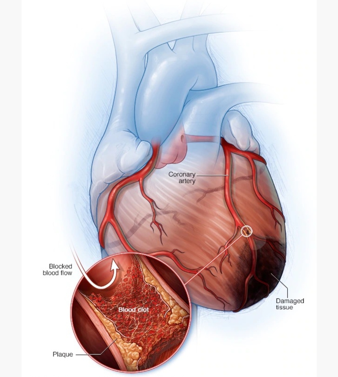 Screenshot ٢٠٢٤ ١٠ ٠٦ ٠٥ ١٩ ٠٠ ٠١٨ com.alsharq.app .alsharq app edit