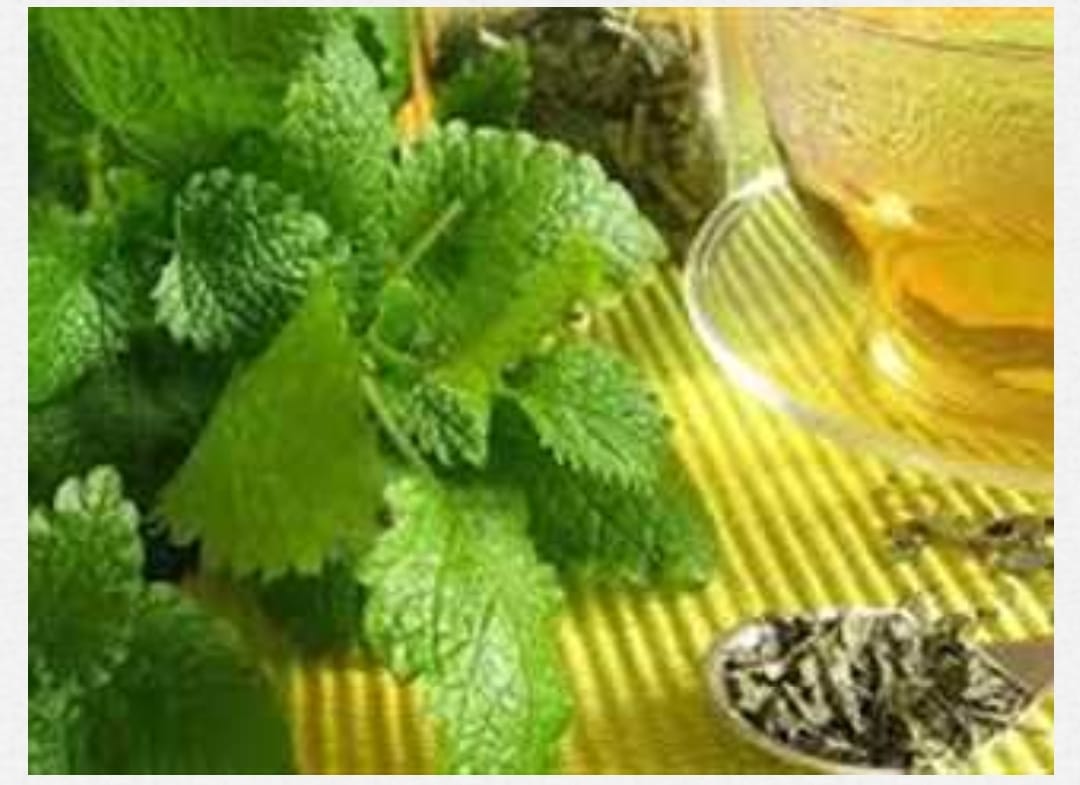 Screenshot ٢٠٢٤ ١٠ ٠٦ ٠٧ ٤٠ ٢٥ ٦٤١ com.ajjel .news edit