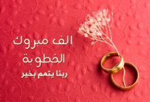 IMG 20241109 WA0205
