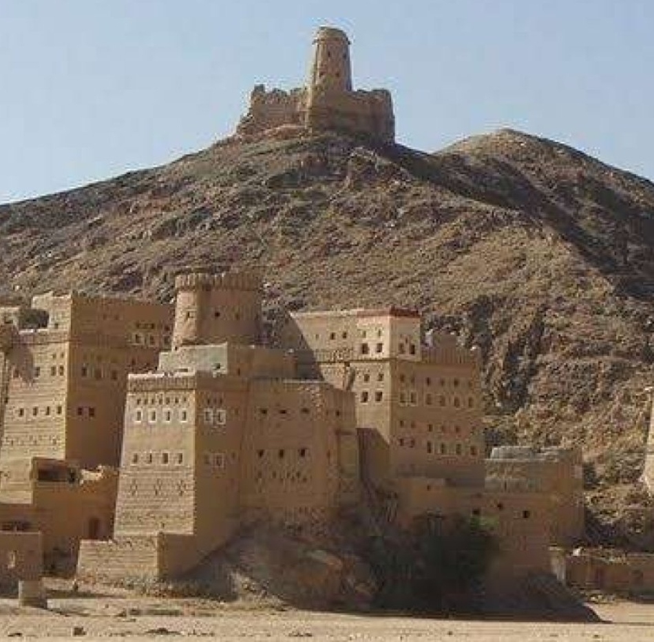 IMG ٢٠٢٤١١٢٦ ١٢٠٣٣٩