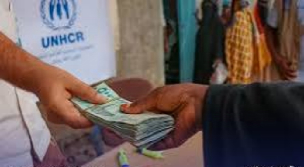 IMG ٢٠٢٤١١٢٩ ٢٢٣٩٣٧