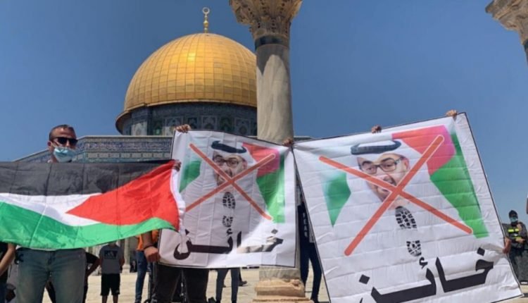 محمد بن زايد يقدم تبرعات سخية لمنظمة حباد بعد مقتل أحد حاخاماتها 1 الخائن للقضيةالفلسطينية محمد بن زايد 750x430 1