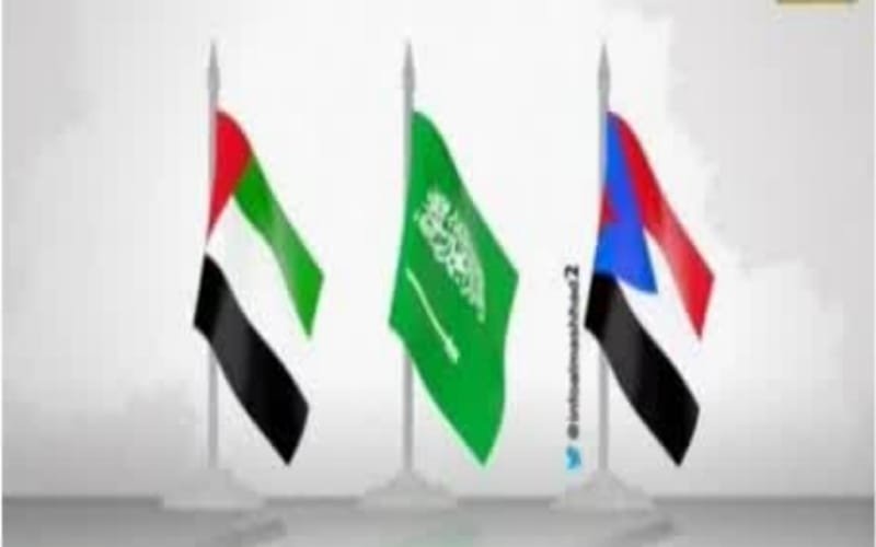 ٢٠٢٤١١١٩ ٢١٤٤٣٨