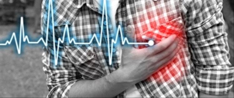 دراسة تكشف علاقة أمراض القلب بالإصابة بأمراض الخلايا العصبية 1 28 12 2024 10 21 01