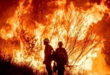173 115319 los angeles fires ocean water 700x400