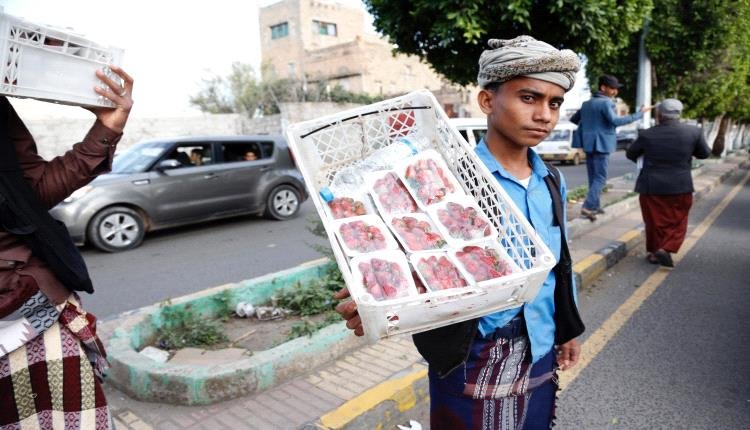 أسواق اليمن غارقة بفائض إنتاج الفراولة 1 939f54f7 5e79 496a 9d3e 1389460350ea