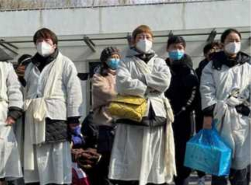 IMG ٢٠٢٥٠١٠٤ ٢٠٢٢١٤