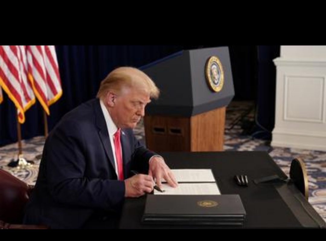 IMG ٢٠٢٥٠١٢٠ ٢٠٣٠٣١