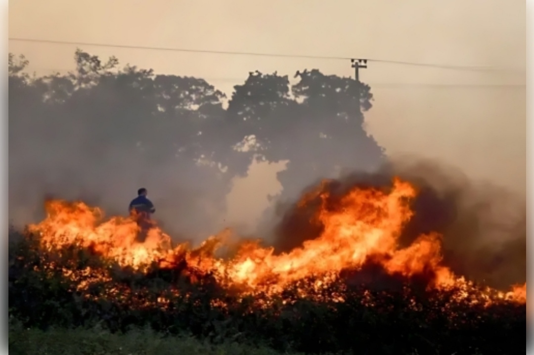 IMG ٢٠٢٥٠١٢٢ ٠٤٥١٤٢