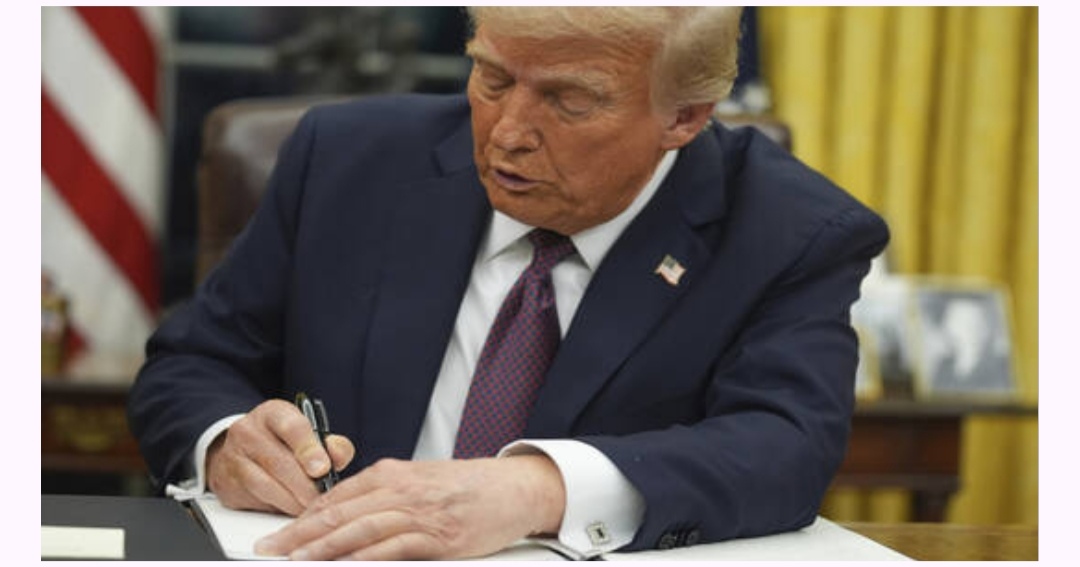 IMG ٢٠٢٥٠١٢٢ ٠٦١٧٤٩