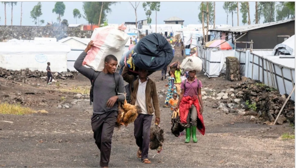 IMG ٢٠٢٥٠١٢٥ ٠٨٢٧٠٤