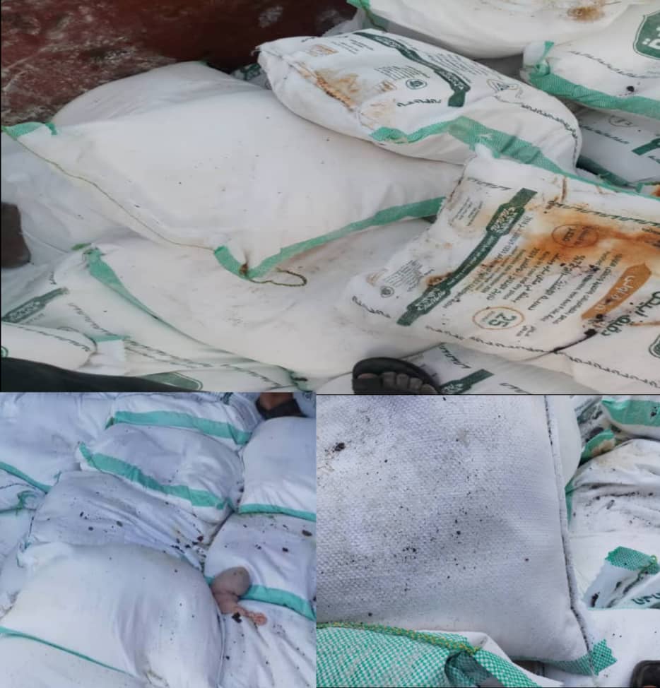 بعد تعرضها للتسوس والتلف.. وصول 5000 طن من الدقيق الفاسد الى ميناء عدن 1 IMG 20250219 WA0146