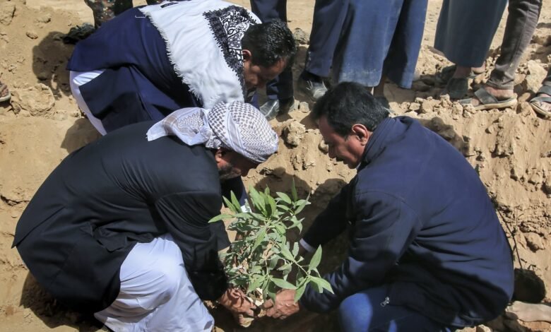 وكيل محافظة مارب يدشين مشروع غرس 5000 شجرة بمدينة مأرب 1 IMG 20250226 WA0192