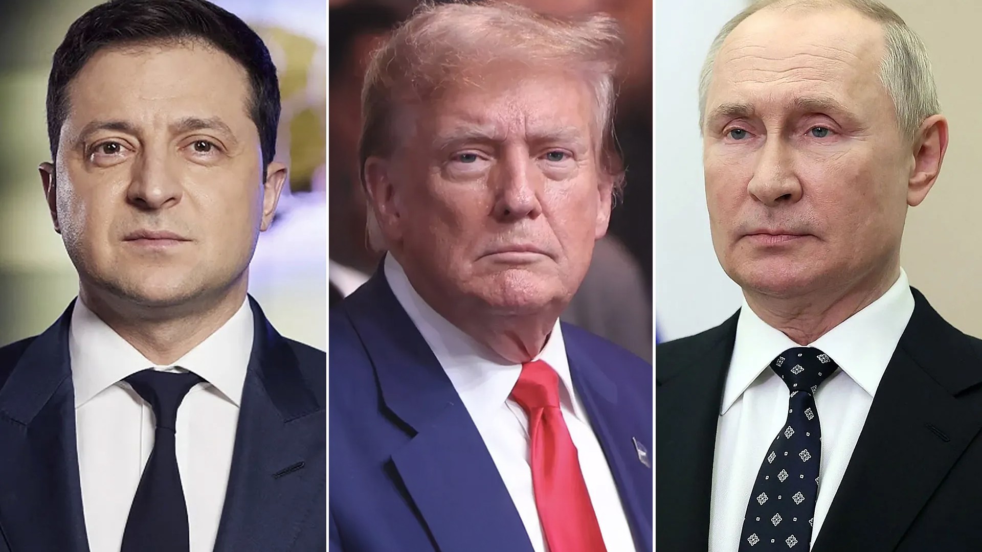 111115565655 1739386242