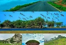 IMG 20250314 WA0083