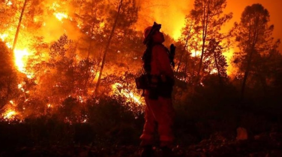 IMG ٢٠٢٥٠٣٠٤ ٠٠٥٤٤٨