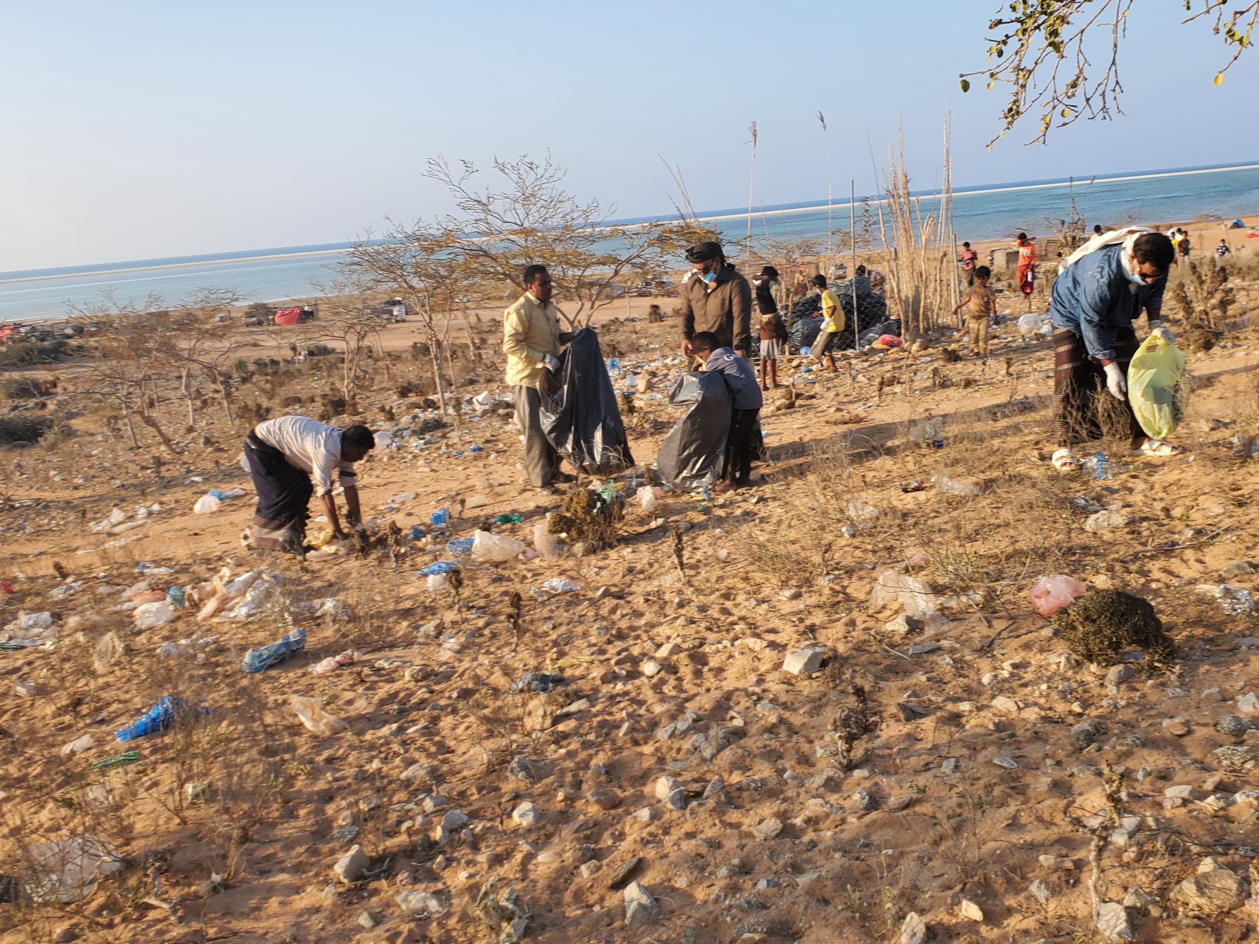 انطلاق حملة نظافة في محمية ديطوح برعاية محافظ سقطرى 1 IMG 20250413 WA0013