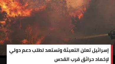 IMG ٢٠٢٥٠٤٢٤ ٠١٠١٠٢