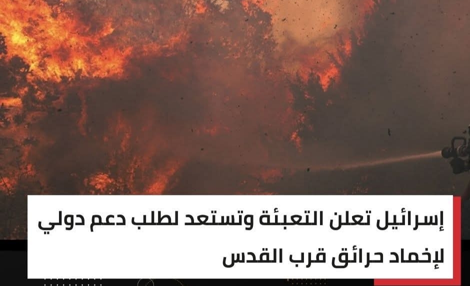 IMG ٢٠٢٥٠٤٢٤ ٠١٠١٠٢