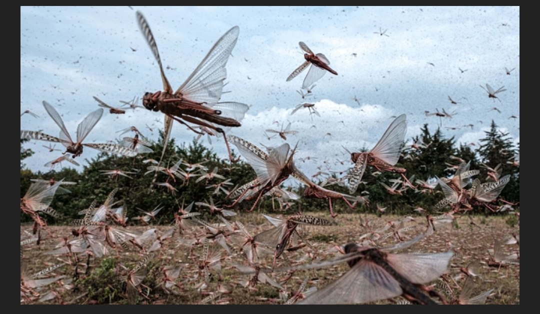 Screenshot ٢٠٢٥ ٠٤ ١١ ٠٦ ٠٩ ٥٠ ١٩٣ com.word .ajjel edit