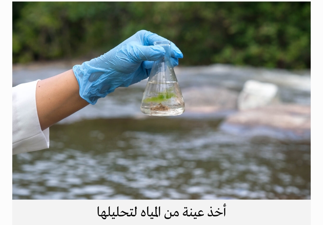 Screenshot ٢٠٢٥ ٠٤ ٢٠ ٢٢ ٠٥ ٣٢ ٩٧٤ today.akhbarna.news .prod edit