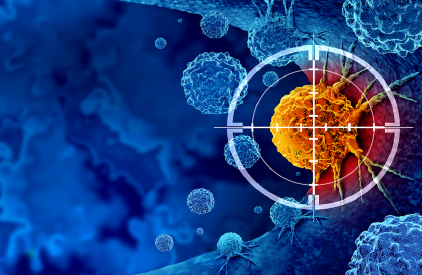 67ac7bc14c59b709ae3cd2fa